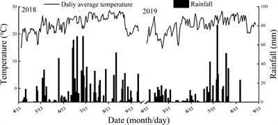 Effects of water stress on starch synthesis and accumulation of two rice cultivars at different growth stages